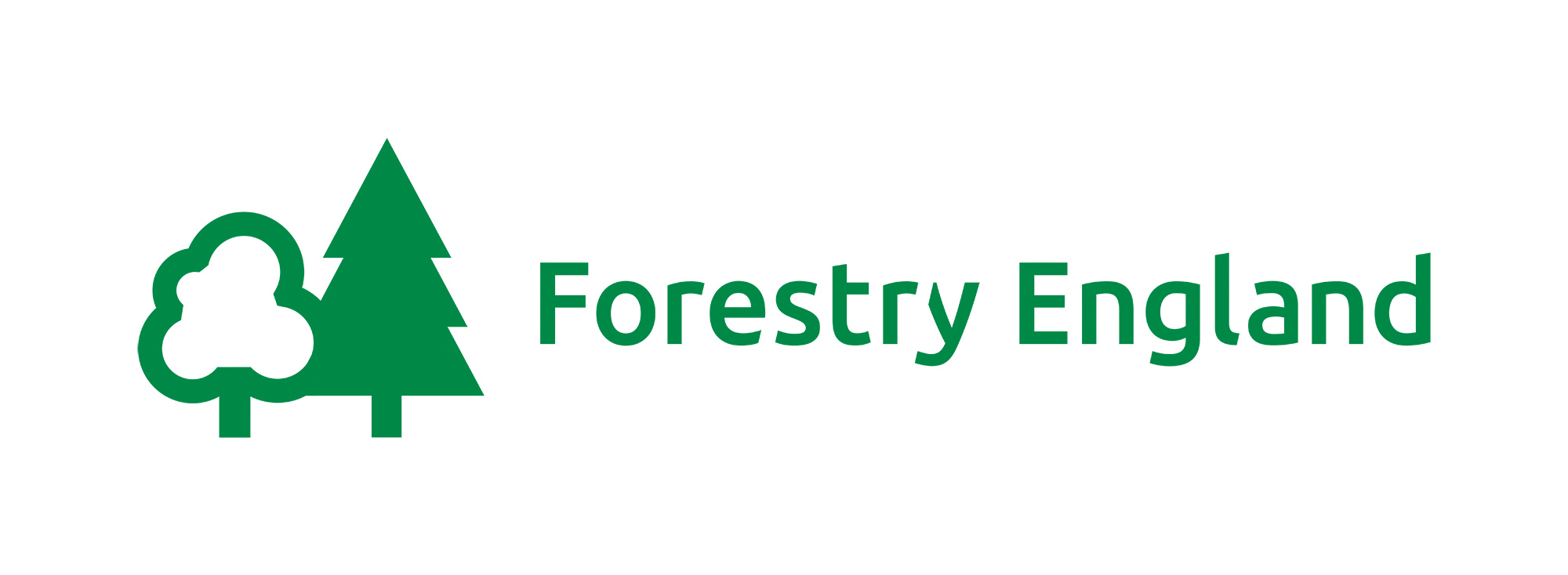 FE_Primary_Logo_Green.jpg