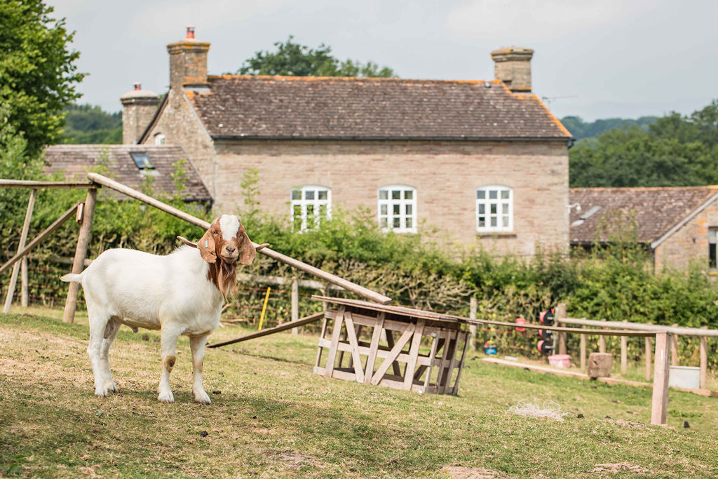 JamiesFarmHereford_LydiaBoothPhotography_webres-56.jpg