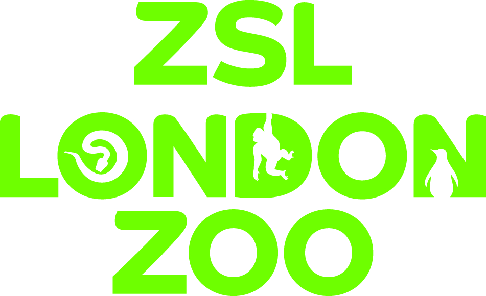 ZSLLondonGeckoGreen1.jpg