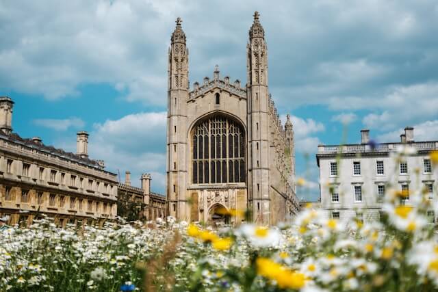 Kings College Chapel in Cambridge seen from a meadow of wild summer flowers